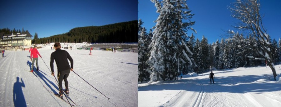 pokljuka_rogla